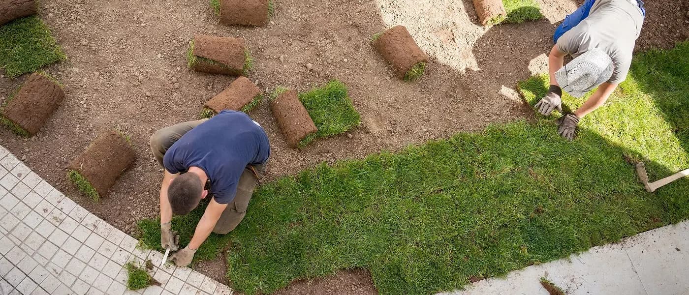 Création de jardin