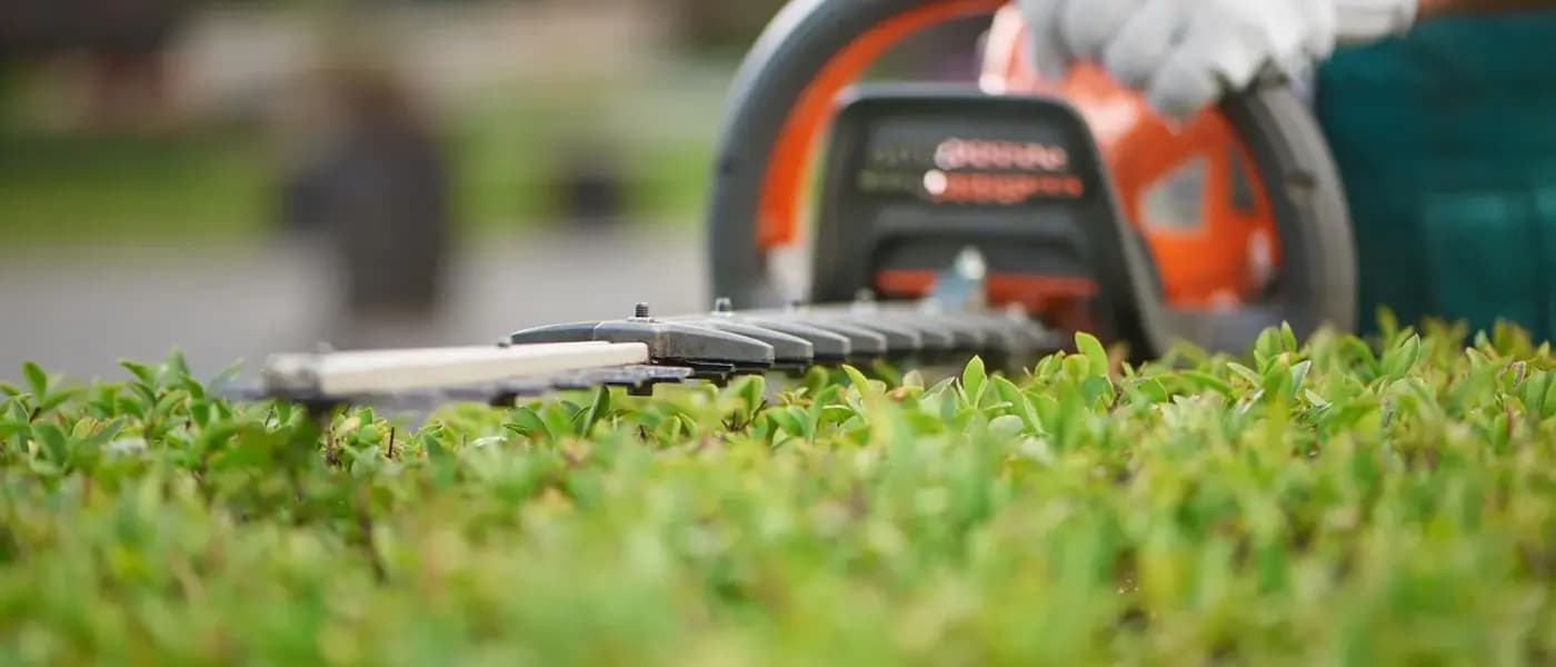 Entretien de jardin